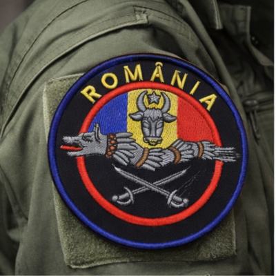 Patch Brodat ROMÂNIA – Emblemă Tricolor cu Cap de Bour